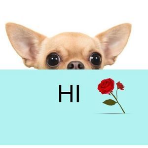 Meet your Posher, Adele